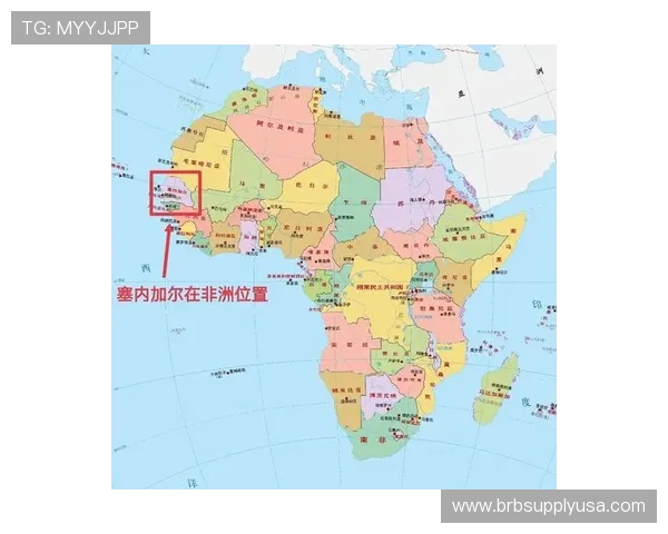 世界杯塞内加尔对阵伊拉克比赛的主办城市旅游指南与赛事期间的交通安排
